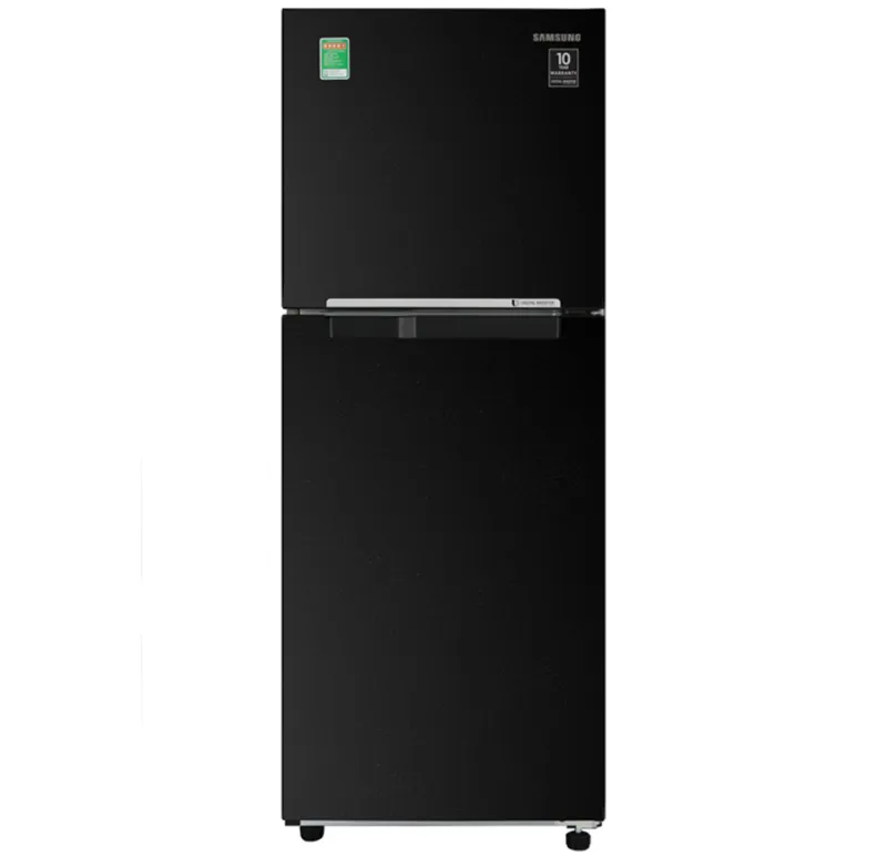 Tủ Lạnh Samsung RT20HAR8DBU/SV Inverter 2 Cánh 208 Lít